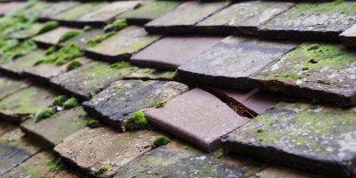 Guilden Morden roof repair costs